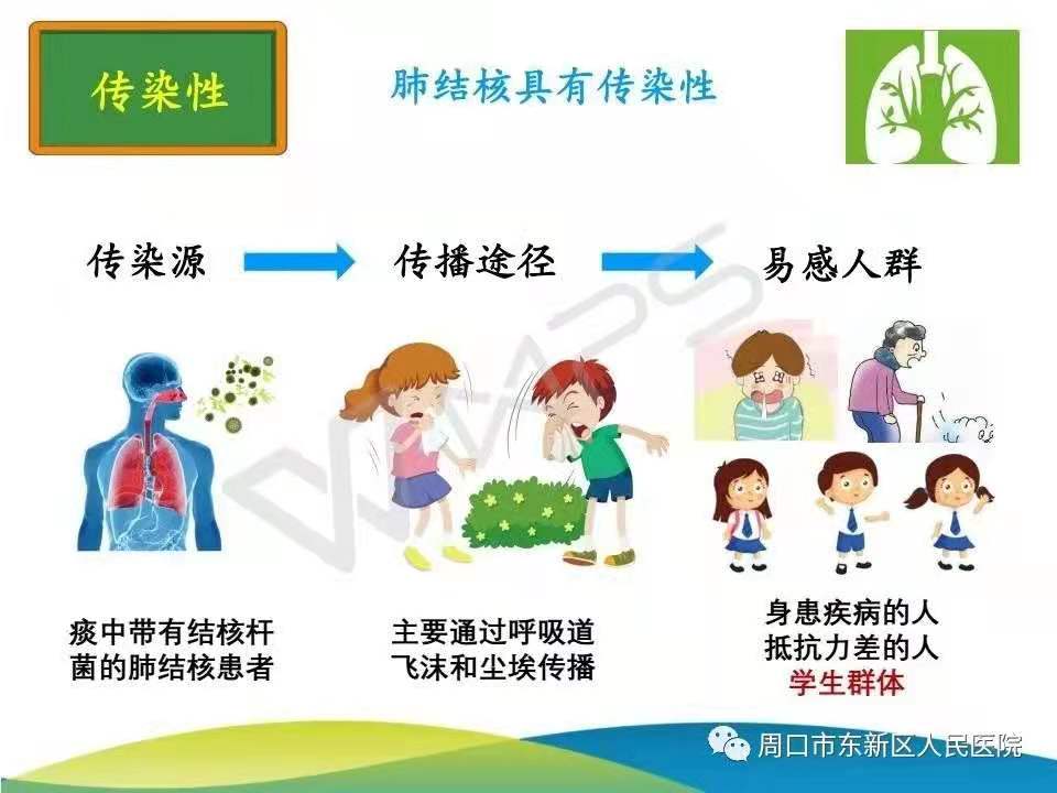结核病知识普及
